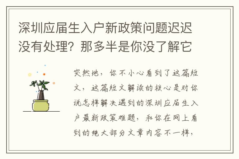 深圳應(yīng)屆生入戶新政策問(wèn)題遲遲沒有處理？那多半是你沒了解它