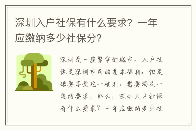 深圳入戶社保有什么要求？一年應繳納多少社保分？