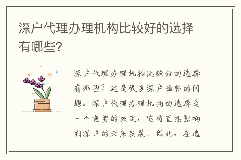 深戶代理辦理機構(gòu)比較好的選擇有哪些？