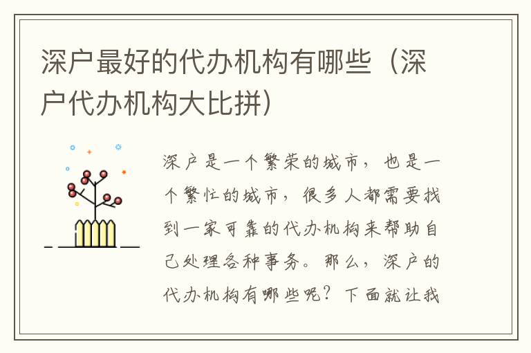 深戶最好的代辦機(jī)構(gòu)有哪些（深戶代辦機(jī)構(gòu)大比拼）