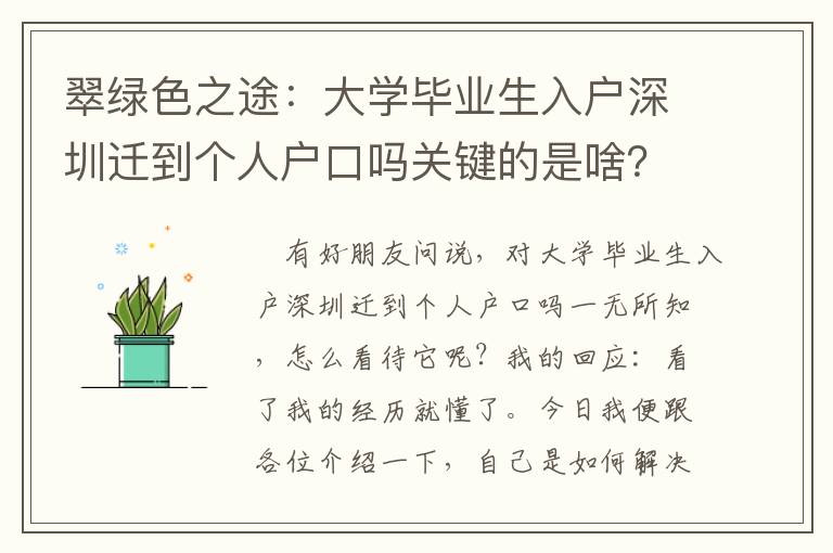 翠綠色之途：大學(xué)畢業(yè)生入戶深圳遷到個(gè)人戶口嗎關(guān)鍵的是啥？