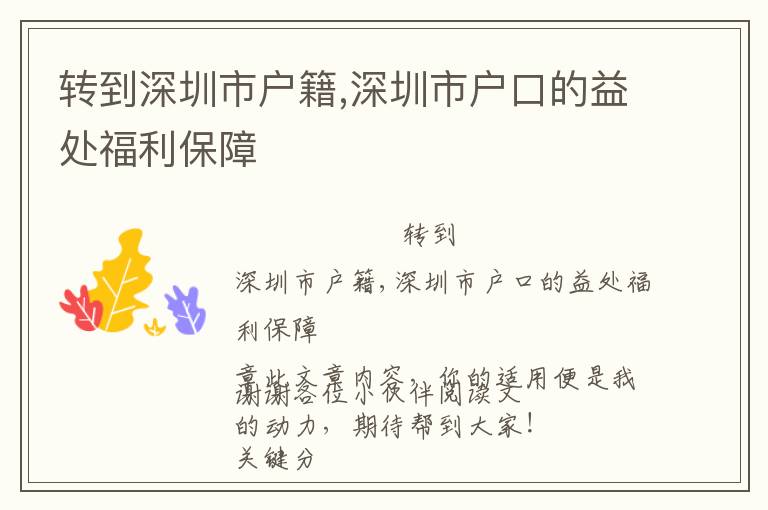 轉(zhuǎn)到深圳市戶籍,深圳市戶口的益處福利保障