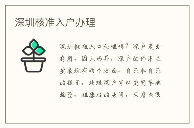 深圳核準(zhǔn)入戶辦理