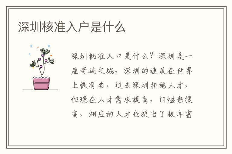 深圳核準(zhǔn)入戶是什么