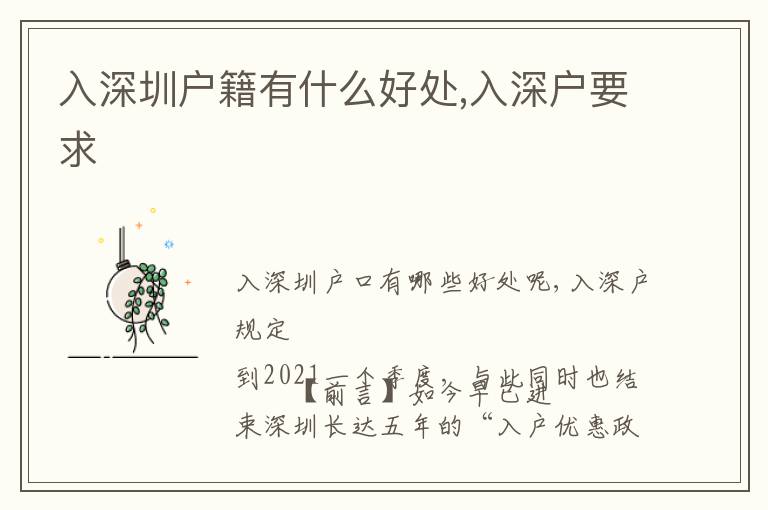 入深圳戶(hù)籍有什么好處,入深戶(hù)要求