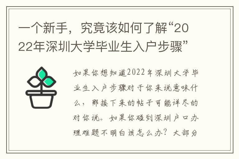 一個新手，究竟該如何了解“2022年深圳大學畢業生入戶步驟”