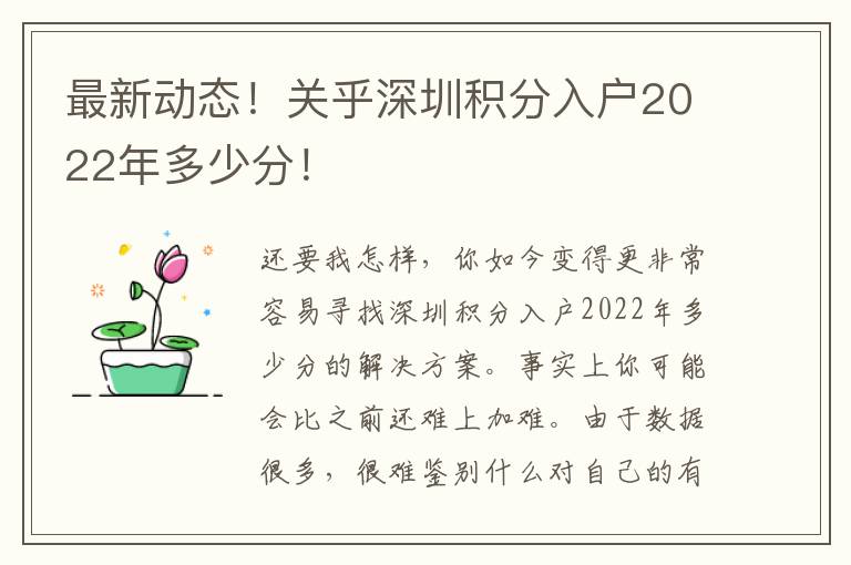 最新動態！關乎深圳積分入戶2022年多少分！