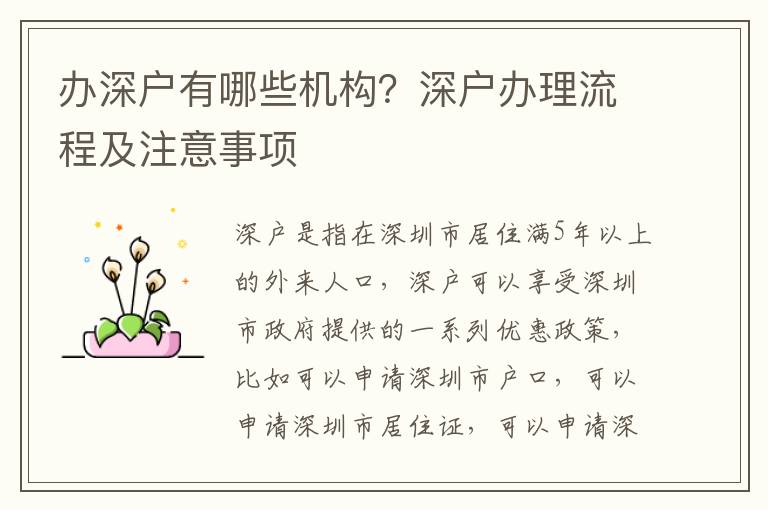辦深戶有哪些機構？深戶辦理流程及注意事項