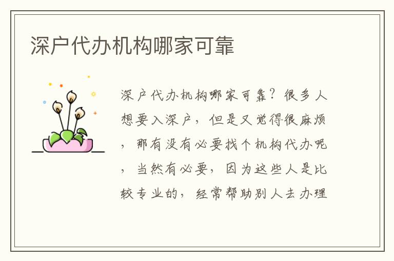 深戶代辦機(jī)構(gòu)哪家可靠