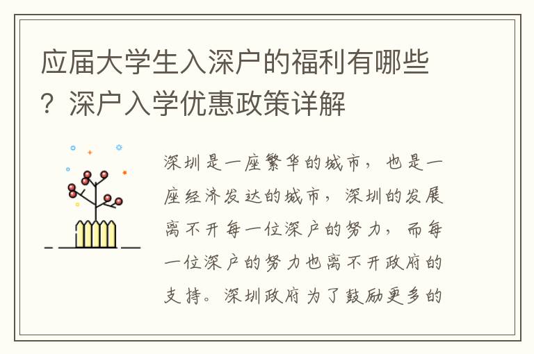 應(yīng)屆大學生入深戶的福利有哪些？深戶入學優(yōu)惠政策詳解