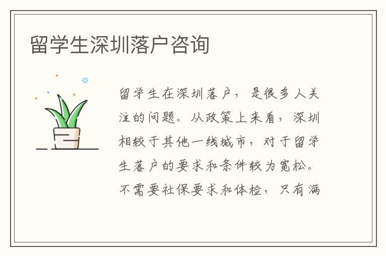 留學生深圳落戶咨詢