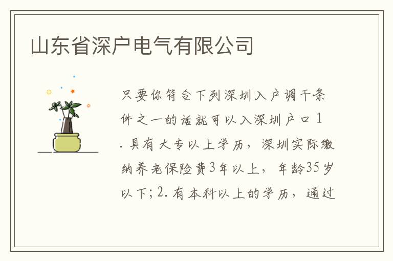 山東省深戶(hù)電氣有限公司